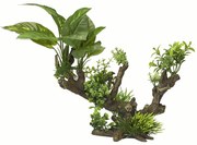 Aqua d'ella Flora Scape 5 maat XL 33,5x16x27,5 cm 234/432099