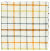 Theedoek, bio-katoen, frisse ruit, 50 x 70 cm
