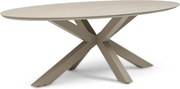 Dining Tuintafel ovaal 240 x 120 cm Taupe Lunea