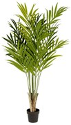 Kave Home Bamboo Palmera Grote Kunstplant Bamboe 170 Cm