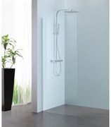 Royal Plaza Parri walk-in 80x200cm zilver profiel en helder glas met clean coating 11424