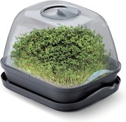 Prosperplast Respana Table Greenhouse - Kweekbak met deksel - 25,7 x 19,6 cm - Antraciet