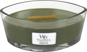 WoodWick geurkaars - Ellipse HearthWick Flame - Frasier Fir