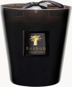 4-lonts geurkaars Prestigieuses (leer, sequoia, amber)