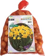Baltus 'Narcis' Geel - voorjaarsbloeiers - 100 bollen