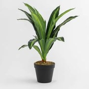 Decoratieve Kunstplant Dracaena 40 Cm 40 Cm - Sklum