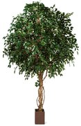 Ficus Exotica kunstplant - 315 cm