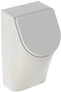 Geberit 300 Urinals Urinoir met deksel 33x36x63 cm Wit