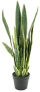 By-Boo Sansevieria Vrouwentong Kunstplant Medium