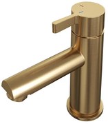 Brauer Gold - Edition Wastafelmengkraan opbouw - laag - model E PVD - geborsteld goud 5-GG-001-HD1