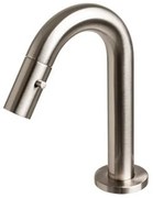 Plieger Lupo 2.0 toiletkraan geborsteld chroom 4333090 S
