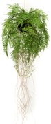 Varen met wortels Kunstplant - 35 cm