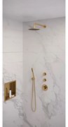 Brauer Gold Edition complete inbouw regendouche met staafhanddouche, gebogen wandarm en hoofddouche 20cm set 3 messing geborsteld PVD