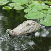 Ubbink Tuinfontein drijvend krokodil