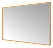 Hotbath &More Square rechthoekige spiegel 120x80cm geborsteld koper PVD