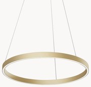 Grote LED hanglamp Rim