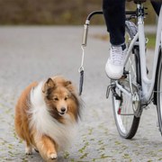 TRIXIE Hondenriemset voor fietsen zwart