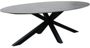 Showroommodel Puccini dining tuintafel 220x120 cm ovaal keramisch blad