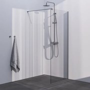 BRAUER Season Inloopdouche - helder glas - 90x200cm - geborsteld RVS GS-SEIC1H90200NG