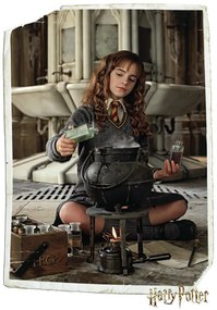 Poster Harry Potter - Hermelien Griffel, (61 x 91.5 cm)