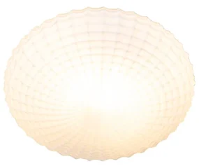 Buitenlamp Klassieke plafondlamp zwart met opaal glas 23 cm IP44 - Nohmi Klassiek / Antiek E27 IP44 Buitenverlichting rond Lamp