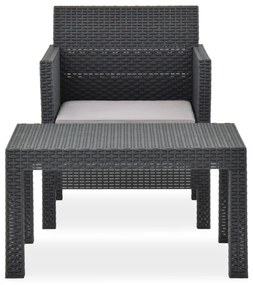 vidaXL 2-delige Loungeset met kussen PP rattan antracietkleurig