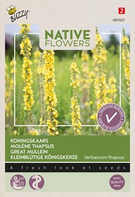 Buzzy seeds - bloemzaden - Koningskaars Verbascum Thapsus