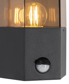 Buiten wandlamp zwart met smoke glas zeshoek en bewegingssensor - Denmark Modern E27 IP44 Buitenverlichting