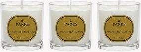 Handgemaakte geurkaarsen Vintage Aromatherapy (sandelhout, ylang ylang & warme amber), 3-delig