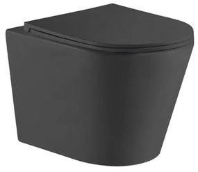 QeramiQ Dely Wandclosetpack - 36.3x51.7cm - diepspoel - rimless - softclose zitting - mat zwart E13 matt black