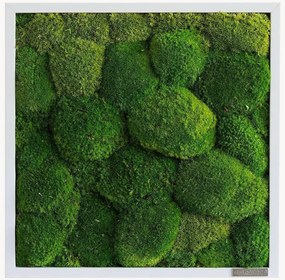 Handgemaakt bolmos wanddecoratie Forest, ingelijst