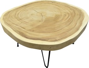 Boomstamtafel met metalen poten 80xH45 rond - bladdikte 6 cm