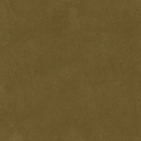 Voetenbank van fluweel, Lazare