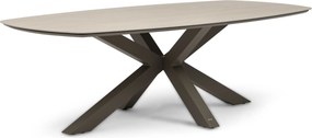 Dining Tuintafel rechthoekig 240 x 120 cm Taupe Voyage