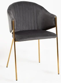 Elegan Stoel Fluweel