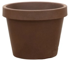Lira Bronze