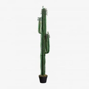 Decoratieve Kunstcactus ↑155 Cm Cereus ↑155 Cm - Sklum