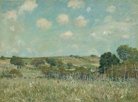 Alfred Sisley - Kunstdruk Meadow, 1875, (40 x 30 cm)