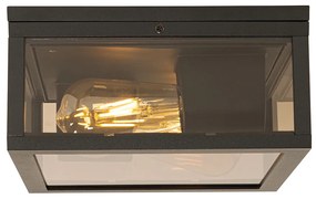 Plafondlamp zwart met smoke glas 2-lichts IP44 - Charlois