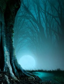 Ilustratie Path Through A Haunted Forest, DNY59