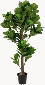 XXL-kunstplant Fiddle