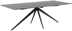 Goossens Excellent Eettafel Uniek, Rechthoekig 220 x 100 cm