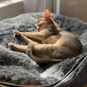 Ambient Lounge Kattenkussen Indoor/Outdoor
