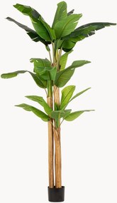 Kunstplant Banana Plant