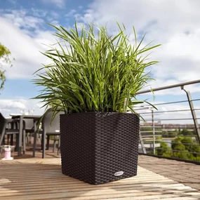 LECHUZA Plantenbak CUBE Cottage 30 ALL-IN-ONE mokkakleurig