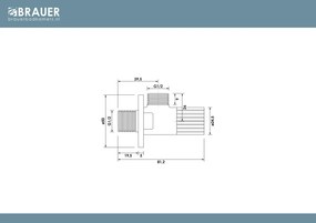 Brauer Stripe hoekstopkraan zwart mat