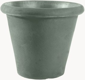 Plantenpot Camelia