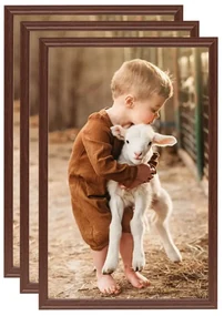 vidaXL Fotolijsten 3 st voor wand of tafel 59,4x84 cm MDF bruin