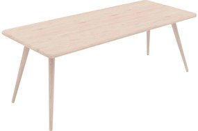 Goossens Eettafel Bjarte, Rechthoekig 220 x 90 cm