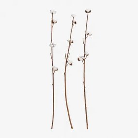 Set Van 3 Decoratieve Gedroogde Takken Vedran Wit - Sklum